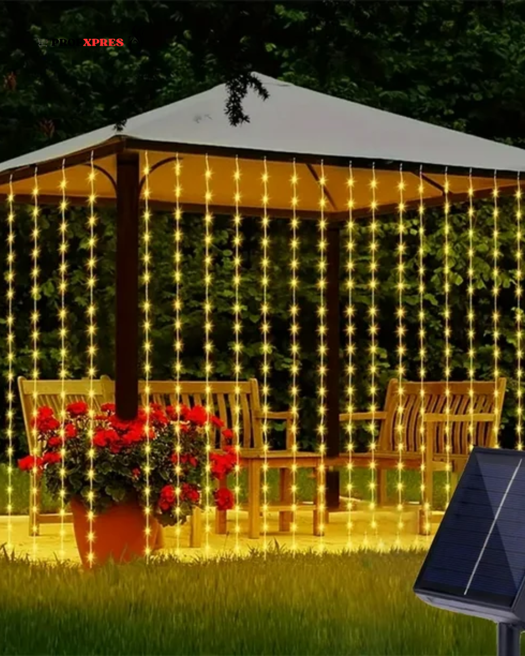 La Magia del sol en cada Noche